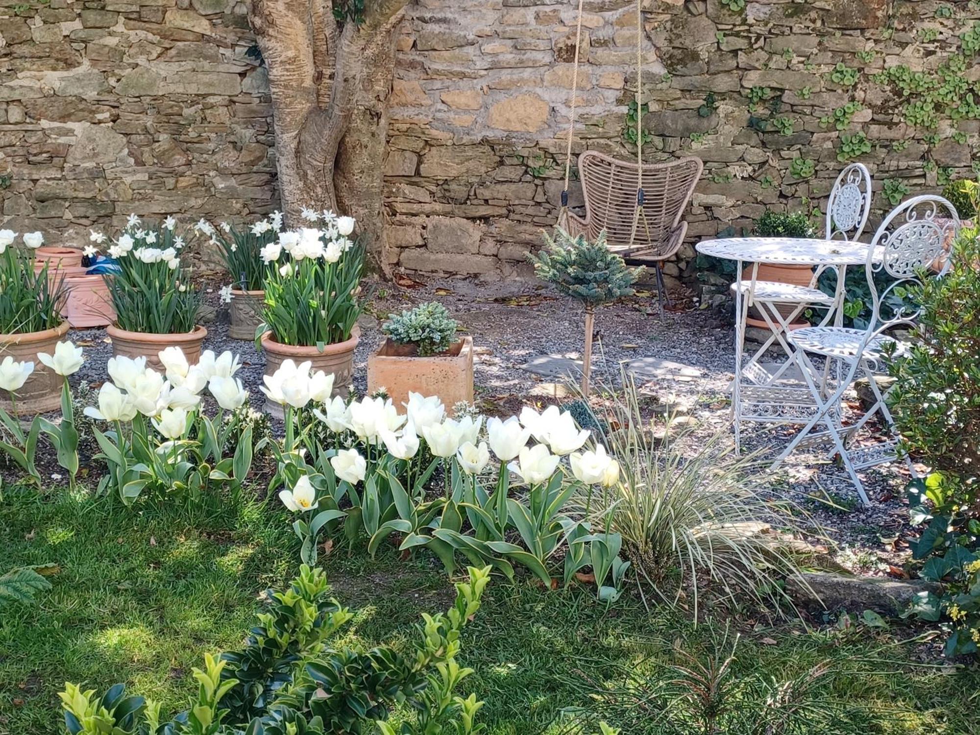 Le Banellou Acomodação com café da manhã Quimper Exterior foto